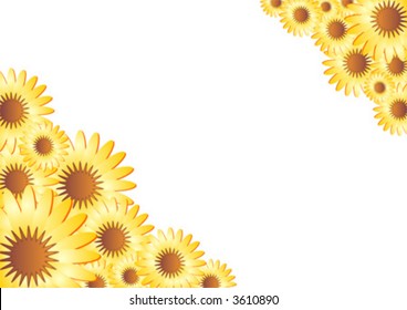 Marigold frame over white background