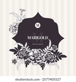 Marigold garden flowers in vector monochrome outline style. Greeting card template with bouquet and frame in oriental style. Tagetes flower arrangement for wedding invitation, saffron label, Diwali