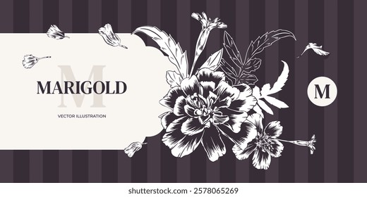 Marigold garden flowers in vector monochrome outline style. Horizontal greeting card template with bouquet and frame. Marigold flower arrangement for wedding invitation, banner, Diwali