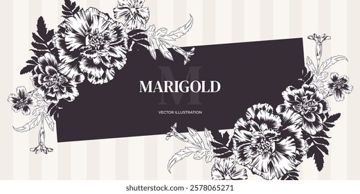 Marigold garden flowers in vector monochrome outline style. Horizontal greeting card template with bouquet and frame. Marigold flower arrangement for wedding invitation, banner, Diwali