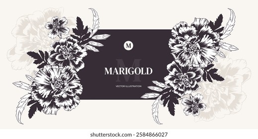 Marigold garden flowers in vector monochrome outline style. Horizontal greeting card template with bouquet and frame. Marigold flower arrangement for wedding invitation, banner, Diwali