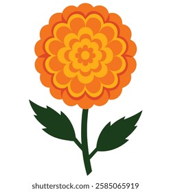 Marigold  The Golden Glow of Nature vector art 