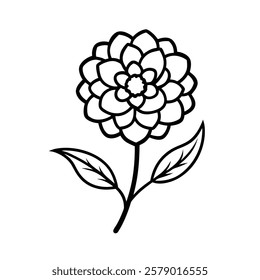 Marigold line art vector with two leaves on a white background