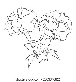 Marigold Line Drawing Clip Art 