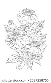 Marigold line drawing vector design