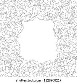 Marigold Outline Border isolated on White Background. Vector Illustration.