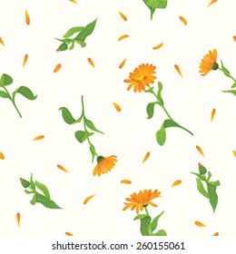 Marigold plant (Calendula officinalis) seamless background