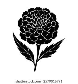 Marigold Silhouette vector with two leaves on a white background