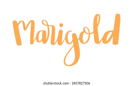 Marigold Trends color palette lettering text illustration.