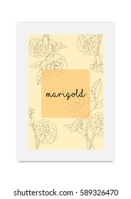 Marigold vector illustration hand drawn painted 