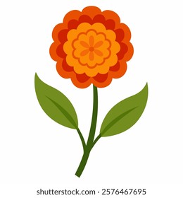 Marigold vector with leaves on white background