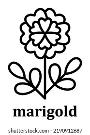 Marigold vector linear icon. Marigold flower petal line and branch with leaves. Simple minimal illustration linear style for mobile concept, web design and more. Pixel perfect vector graphics.