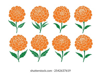 Marigold vector, Marigold Silhouette vector illustration