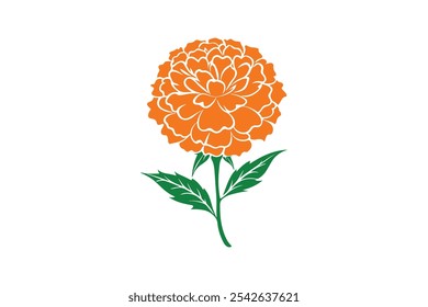 Marigold vector, Marigold Silhouette vector illustration