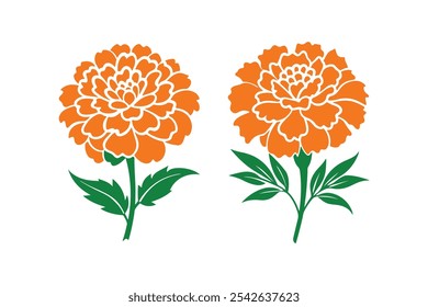 Marigold vector, Marigold Silhouette vector illustration