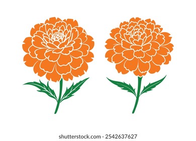 Marigold vector, Marigold Silhouette vector illustration