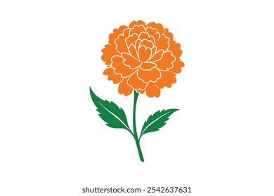 Marigold vector, Marigold Silhouette vector illustration