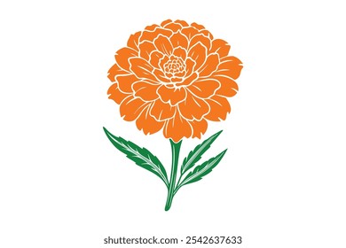 Marigold vector, Marigold Silhouette vector illustration