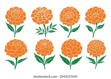 Marigold vector, Marigold Silhouette vector illustration