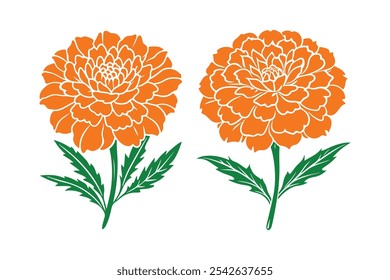 Marigold vector, Marigold Silhouette vector illustration