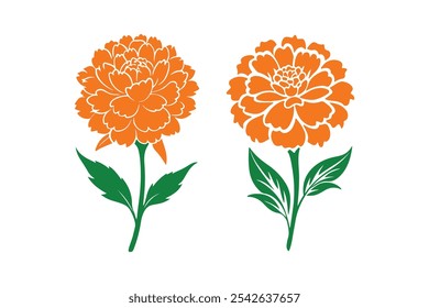 Marigold vector, Marigold Silhouette vector illustration