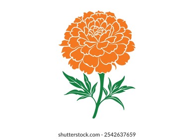 Marigold vector, Marigold Silhouette vector illustration