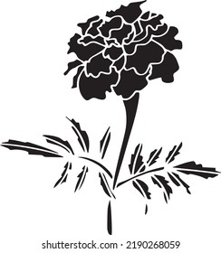 Marigold Vector, Stencil, black and white