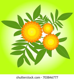The marigolds flowers with green leaves illustration, the plant to show loyalty to the late King of Thailand .