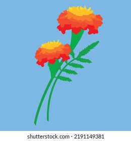 marigolds on a blue background