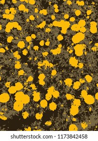 Marigolds-orange garden flowers with curly petals. A flowerbed is fully planted with marigolds.