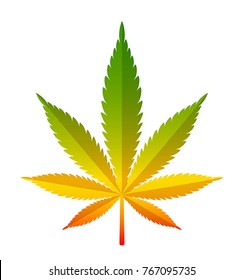 Marihuana leaf on a white background