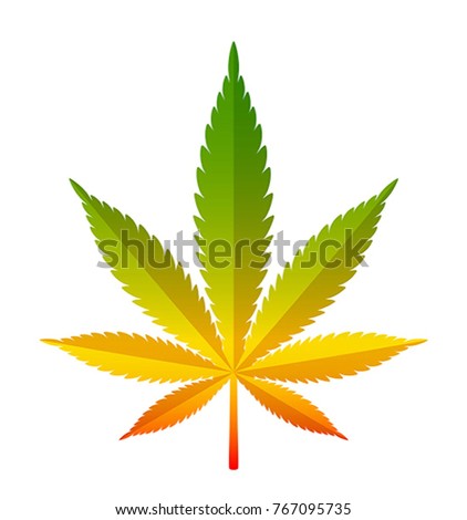 Marihuana leaf on a white background