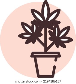 Marihuana in a pot, illustration, vector on a white background.