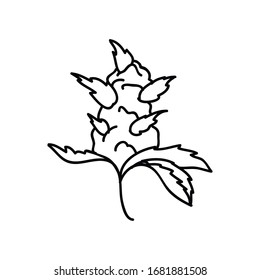 marijuana bud doodle icon, vector illustration