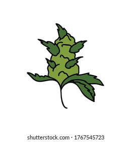 marijuana bud doodle icon, vector illustration