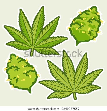 Marijuana Buds Cannabis Vector Design