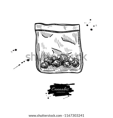 Marijuana buds in plastic bag. Vector drawing. Package of medical cannabis. Vintage hand drawn engraved illustration. Sketch object for shop label, sign, packaging design.