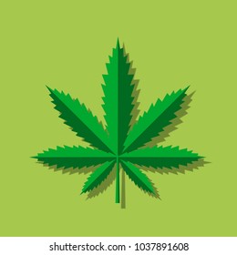 Marijuana or cannabis