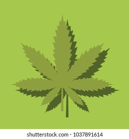 Marijuana or cannabis