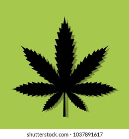 Marijuana or cannabis