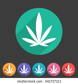 marijuana cannabis icon flat web sign symbol logo label