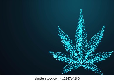 Marijuana, cannabis leaf, Abstract 3d polygonal wireframe on blue night sky with dots and stars. illustration or background