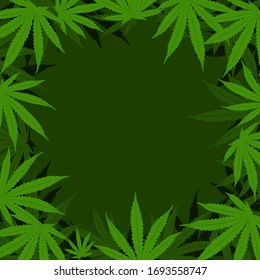 Marijuana or Cannabis Leaf background. 