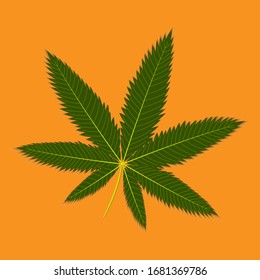 Marihuana hoja de cannabis aislada en fondo naranja, ilustración vectorial