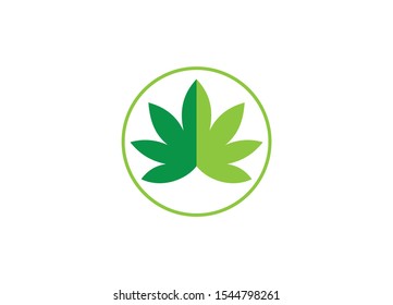 Marijuana Cannabis Leaf Logo Design Template Stock Vector (royalty Free 