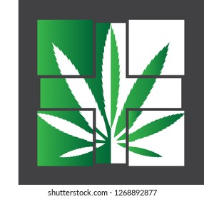 Marijuana, cannabis leaf logo, Formal medicine labels.
