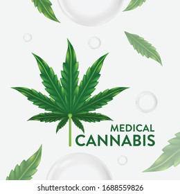 Marijuana, Cannabis-Blatt, Vektorgrafik, natürliches Essöl 