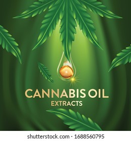 Marijuana , Cannabis-Blatt-Vektorillustration-Illustration, Naturessenöl 