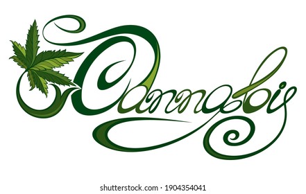 Marihuana, hoja de cannabis vectorial ilustración, aceite de esencia natural