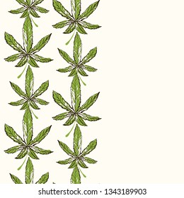 Marijuana or cannabis leaf vertical border seamless pattern. CBD, cannabis, hemp oil. Vector illustration on white background in watercolor style for legal use of marijuana for medical purposes.
